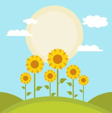 Sunflowers vector illustration design Stock Illustration