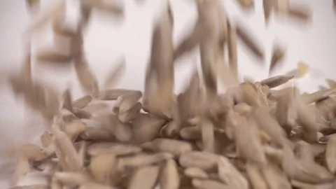 Sunfower seeds piling up in slow motion, CU Stock Footage 77391840