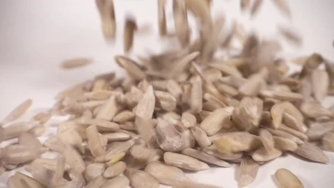 Sunfower seeds piling up in slow motion Stock Footage 77392308