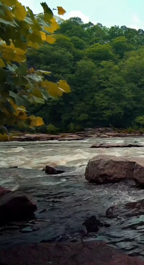 Sungai Stock Footage 209693616