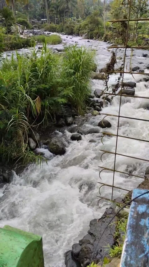 Sungai Video stock 234609202