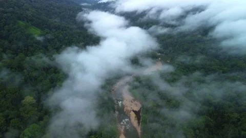 Sungai Tembeling through misty rainforest, Pahang, Malaysia Stock Footage 342780199