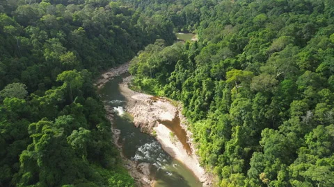 Sungai Tembeling winding through rainforest, Pahang, Malaysia 動画素材 342782415