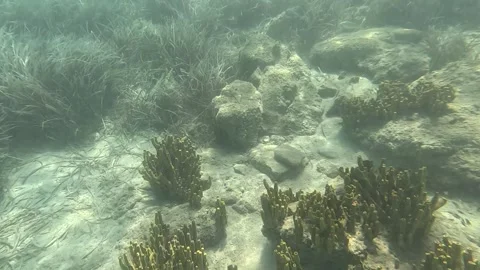 Sunger01 Stock Footage 332646565