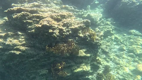 Sunger02 Stock Footage 332646638