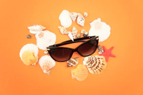 Sunglasses and seashells on orange background Stock Photos