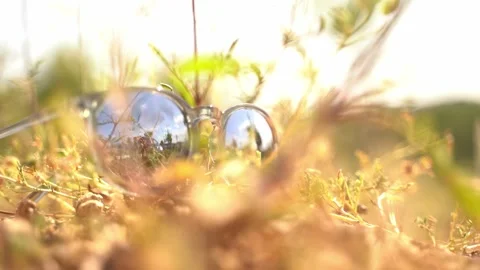 Sunglasses with the background of a beautiful meadow reflected in them Stock Footage 324753826