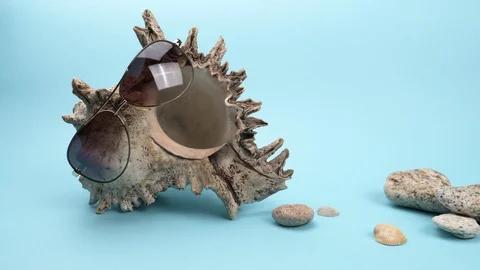 Sunglasses on a large seashell on a blue background. Stockbeeldmateriaal 128041415