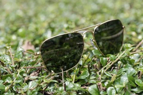 Sunglasses Stock Photos