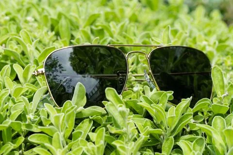 Sunglasses Stock Photos