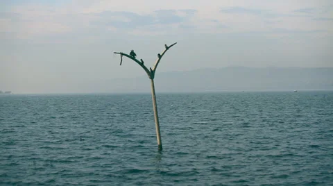 Sunk City Stock Footage 34407093