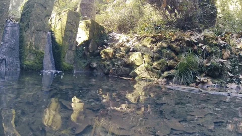 Sunk dead leaves in the stream Video stock 103473225