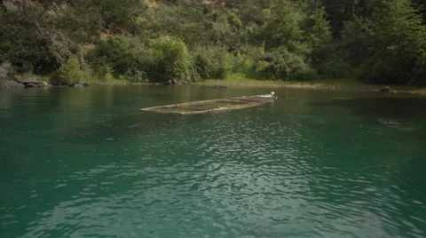 Sunken boat 스톡 동영상 59516889