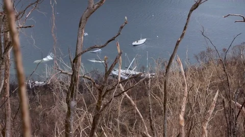 Sunken destroyed boats post hurricane irma 2017, st john Stock-Footage 80806682