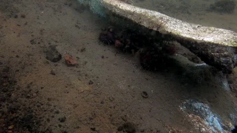 Sunken Fragment of a Once Great Structure Rests on the Seabed Stockbeeldmateriaal 321062645