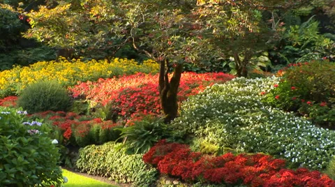 The Sunken Gardens Stock Footage 33604965