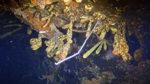 Sunken narcotics smuggling ship at night in the Caribbean Stock-Footage 122065337