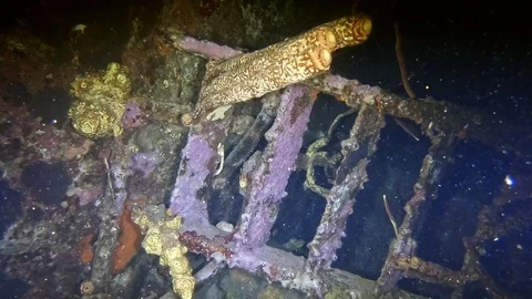 Sunken narcotics smuggling ship shown at night in the Caribbean Stock Footage 122065666