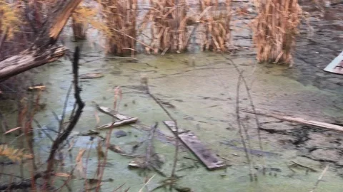 Sunken Old House Stock Footage 97956424
