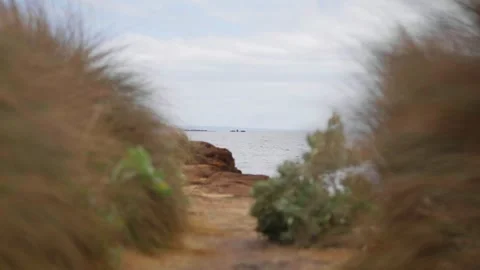 Sunken Ship in the Distance of beach path Stock Footage 321093353