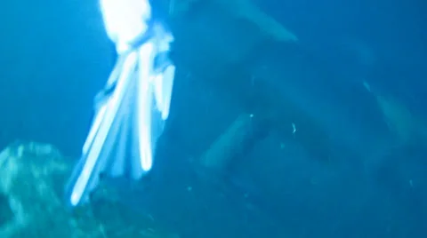 The sunken ship wrecks things Video stock 37041374