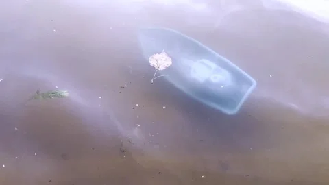 Sunken toy ship Stock Footage 282670044