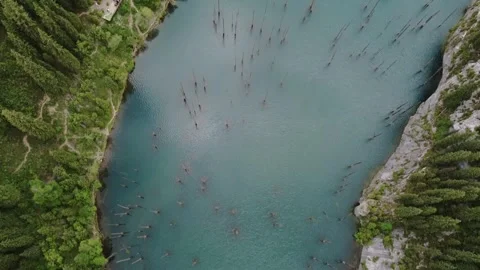 Sunken tree trunks in turquoise glacial water at Kaindy Lake, Kazakhstan Stock Footage 345410301