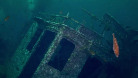 Sunken wreck teems with life in the deep, blue ocean Video stock 314064265