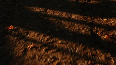 SUNKISSED DIRT GROUND Stock Footage 188926267