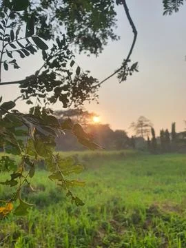 Sunlight in the afternoon Stock Photos