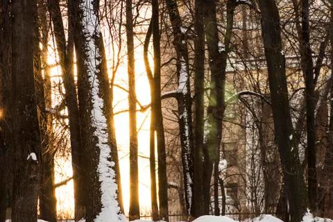 Sunlight against the background of trees and buildings Foto stock