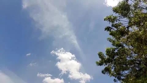 Sunlight and blue sky through trees on the move while driving. Stock Footage 253248174