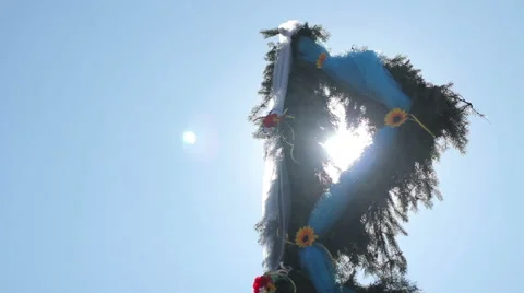 Sunlight and lens flare, tree leaves Stock Footage 63548557