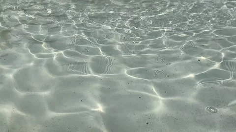Sunlight and Ripples in Water Stock Footage 139356080