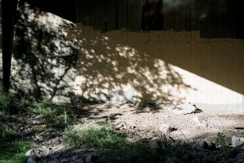 Sunlight and shadow on concrete bridge wall Stock Photos