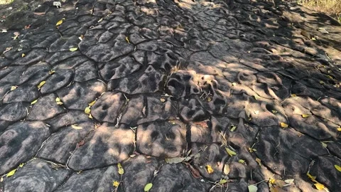 Sunlight And Shadow On Sun Crack Texture Rock Floor Background Stock Footage 301073953