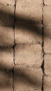 Sunlight and Shadows Cast on Paving Stones Abstract Texture Stock-Fotos