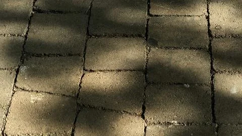 Sunlight and Shadows Cast on Paving Stones Abstract Texture Stock Photos