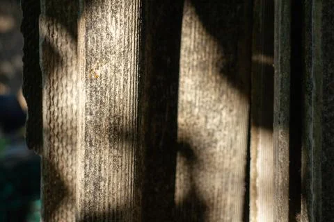 Sunlight and shadows falling across old weathered corrugated asbestos panels 스톡 사진