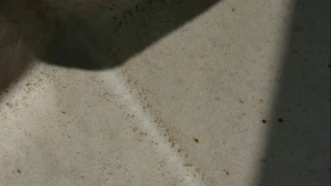 Sunlight and shadows move along the textured wall. Stock Footage 152407496