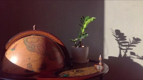 Sunlight and shadows move around the room with globe and plant, 4k time-lapse Stock Footage 148751979