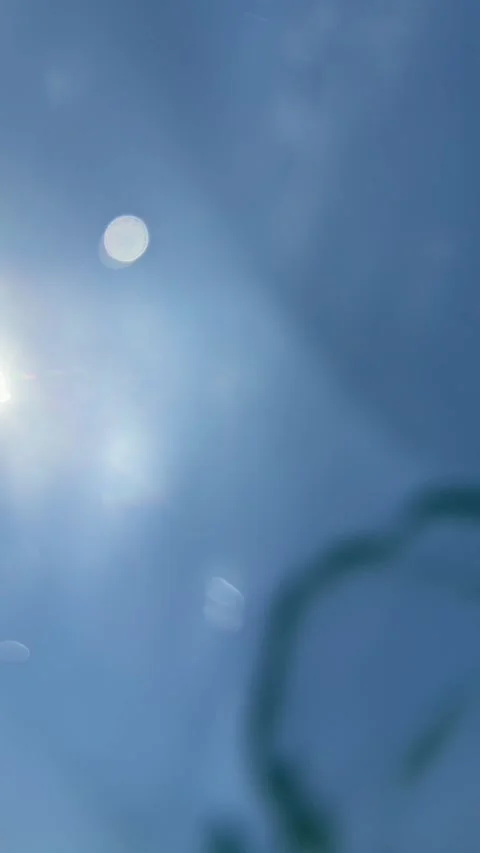 Sunlight and soft plant silhouettes shimmer through clear turquoise water under 스톡 동영상 342140139