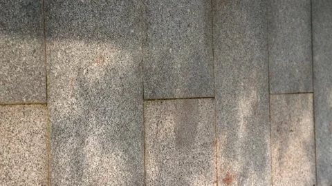 Sunlight and tree leaf shadows moving across a textured granite stone wall 動画素材 342327505