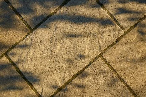 Sunlight and Tree Shadow Patterns on Stone Paving Tiles Stock Photos