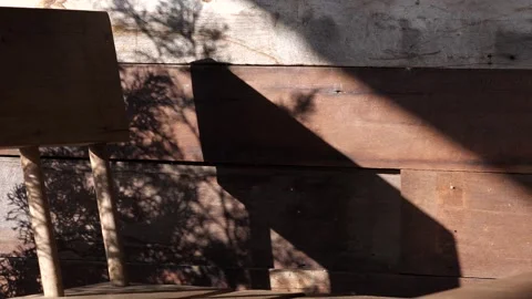 Sunlight and Tree Shadow on Wooden Wall Background Video stock 325237163