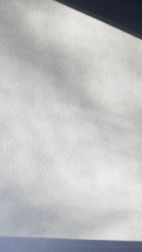 Sunlight and Tree Shadows Moving Across Textured White Wall Video stock 344716975