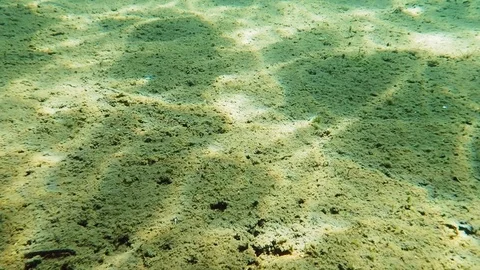 Sunlight and waves forming figures on muddy lake bottom Stock Footage 100467329