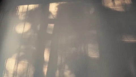 Sunlight and Window Shadows Moving on Plain Wall Background Stock Footage 345799701