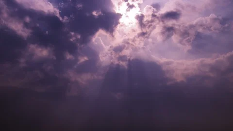 Sunlight background. Stock Footage 101141306