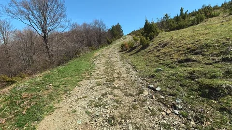 Sunlight bathes a quiet hillside trail. Balkan, Eastern Europe, POV 스톡 동영상 333443537